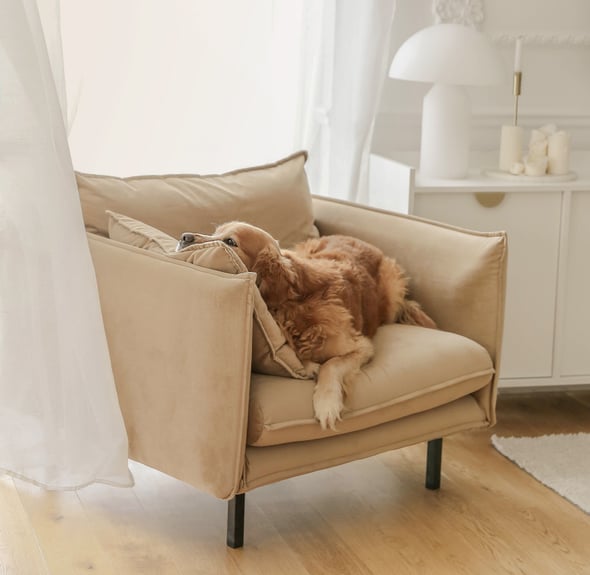 Ensembles des salons claires dans votre l’intérieur - cela peut fonctionner! Voici notre proposition…