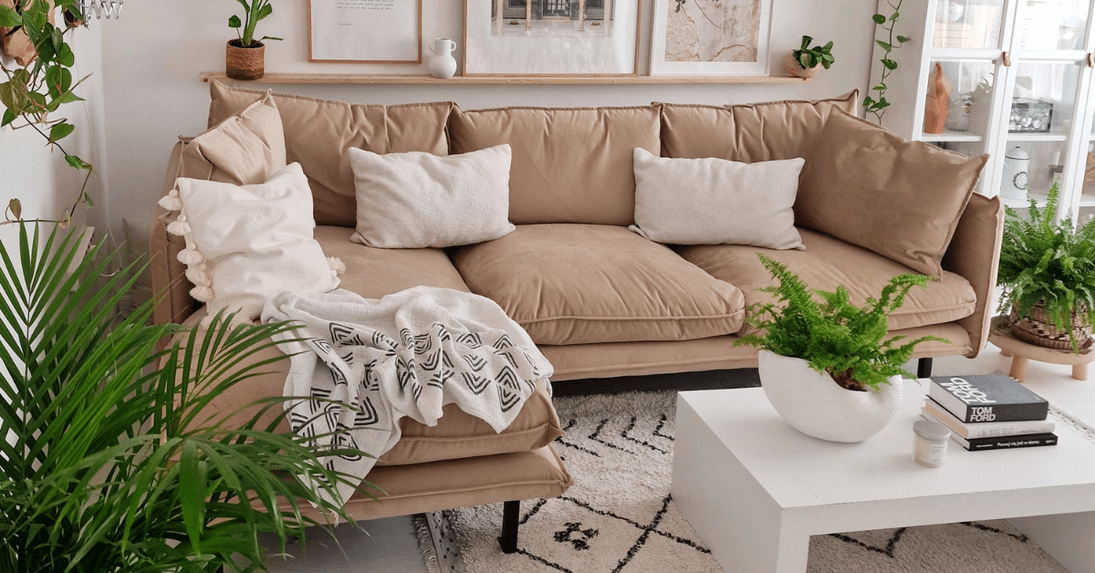 Design biophilique - faire entrer la nature à l'intérieur