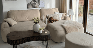 Salon sans désordre - comment planifier le rangement et cacher les objets disgracieux?