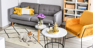 Canapés et fauteuils sur pieds – avantages et inconvénients. Vaut-il la peine de choisir ce type de modèle pour votre salon ?