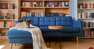 Bien choisir son canapé pour une maison avec animaux