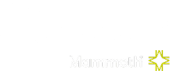 Logo Nadaup x Mammoth